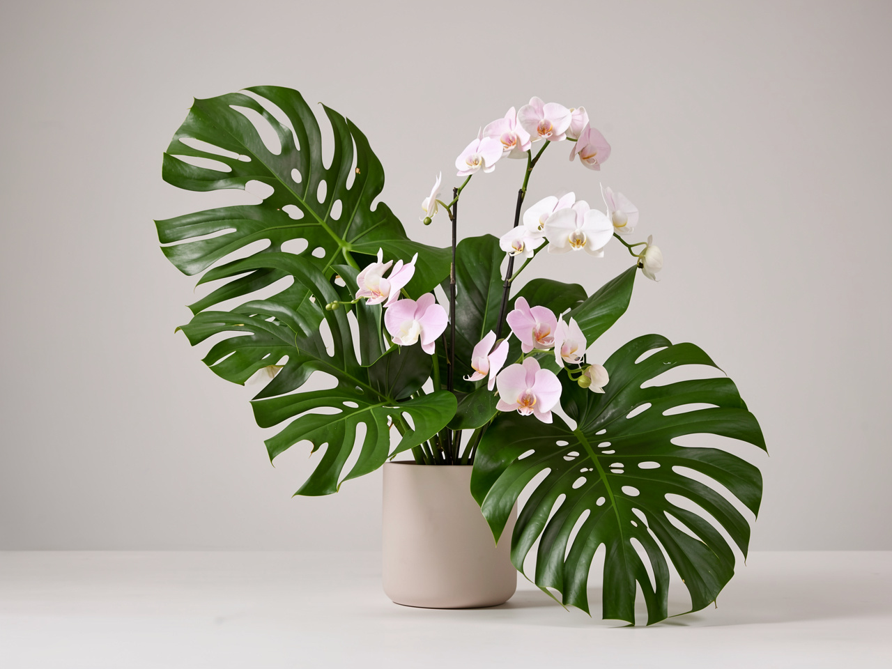 Modern minimalist floral design with tropical elements